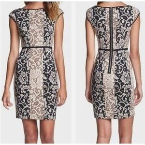 Maggy London Womens Brown & Black Floral Ribbon Waist Cap Sleeve Pencil Dress 8